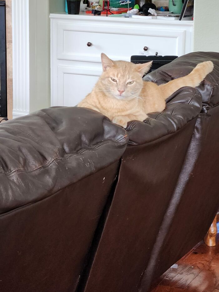 image-20240207163559-1