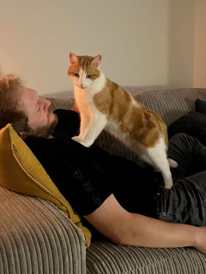 image-20240207163607-3