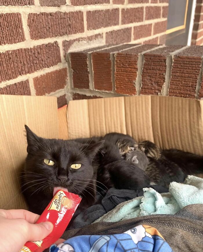 image-20240207163610-4