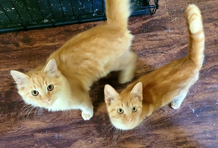 image-20240207163615-5