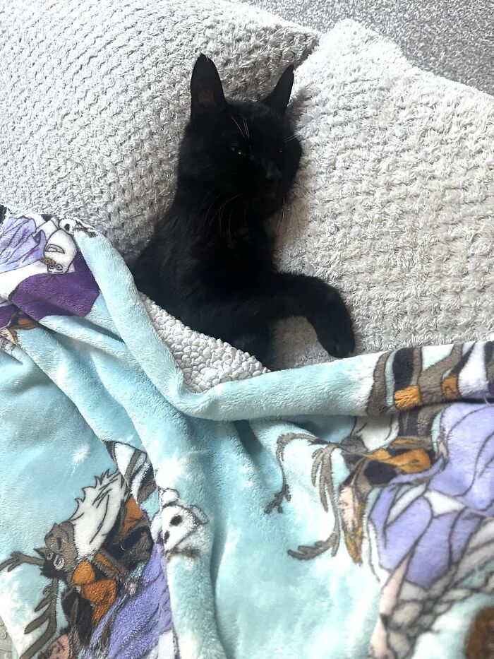 image-20240207163621-7