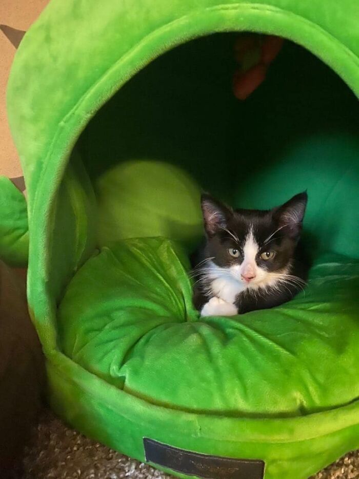 image-20240207163633-10