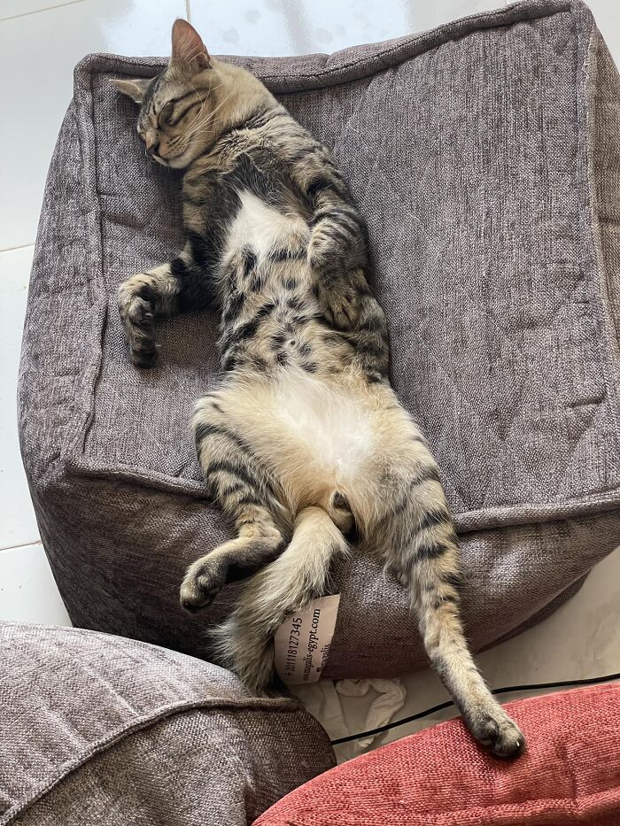 image-20240207163643-13