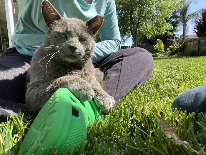 image-20240207163646-14