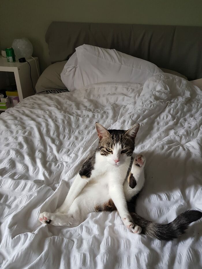 image-20240207163652-16