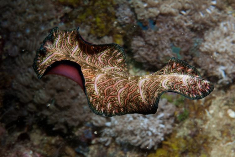 image-20240208153613-4