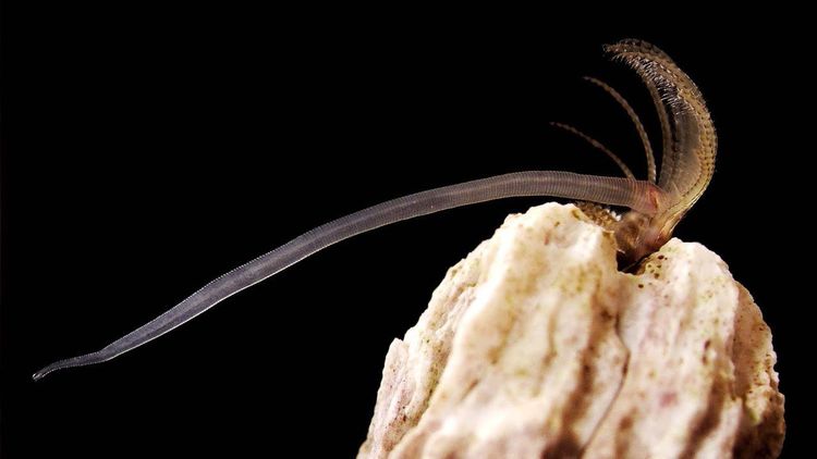 image-20240208153646-6