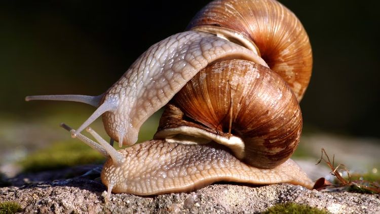 image-20240208153729-7