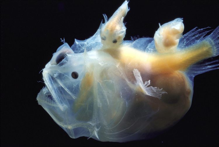 image-20240208154131-11