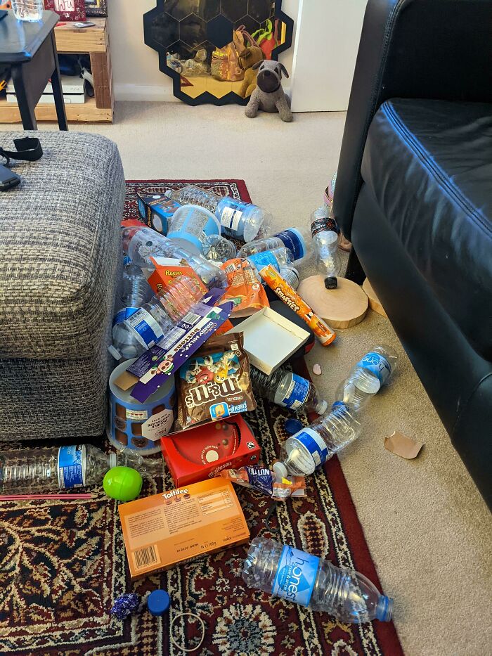 image-20240212124228-11