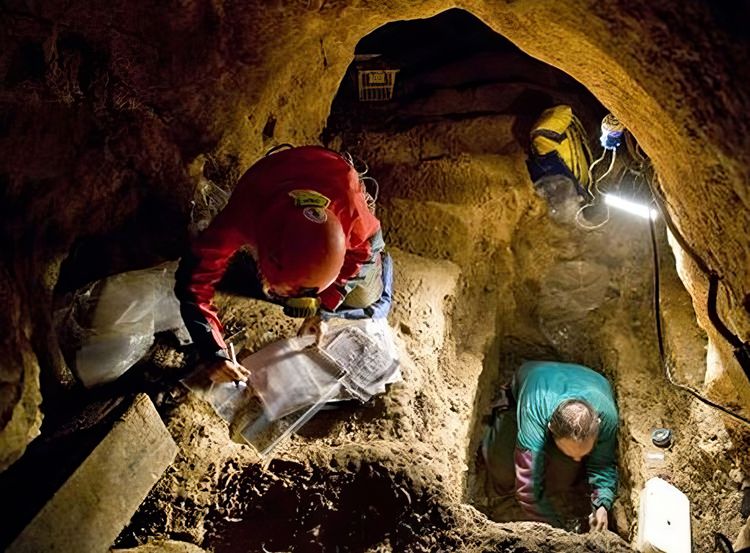 image-20240212153833-1