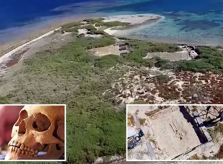 image-20240212153929-3