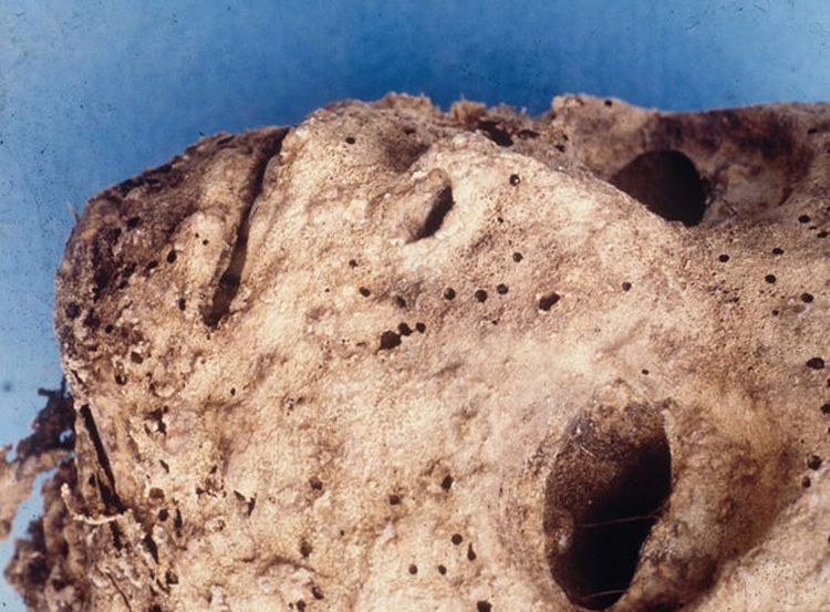 image-20240212154001-5