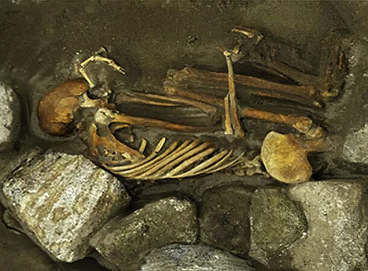 image-20240212154500-10