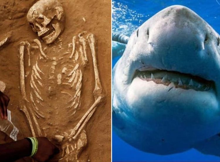 image-20240212154609-13