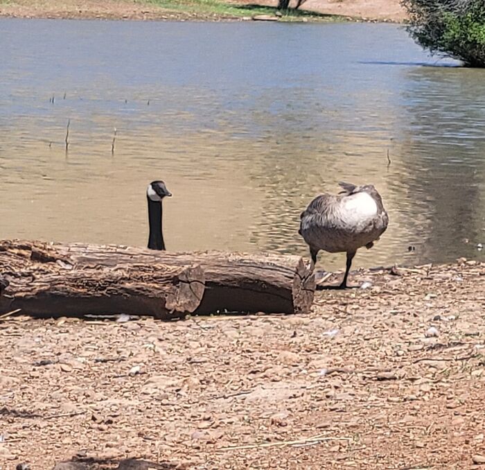 image-20240212170921-1