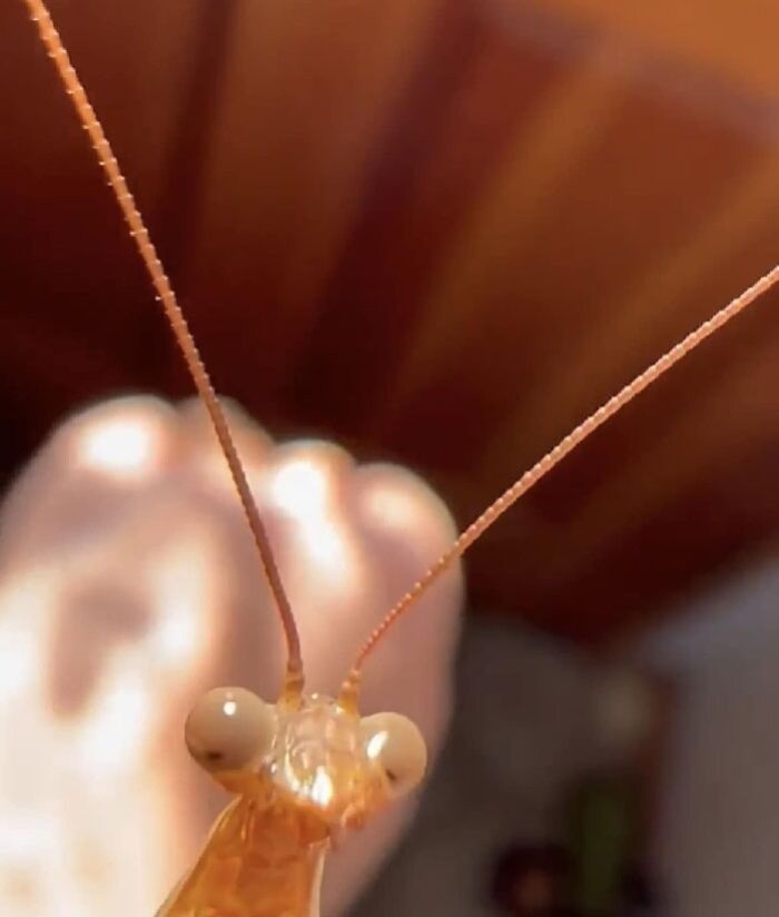 image-20240212171000-8