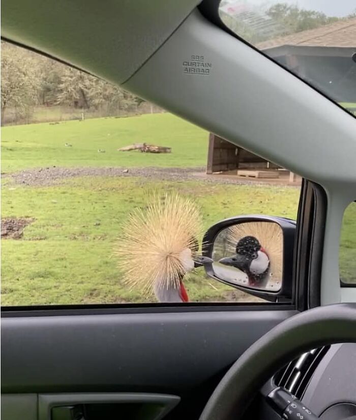 image-20240212171007-10