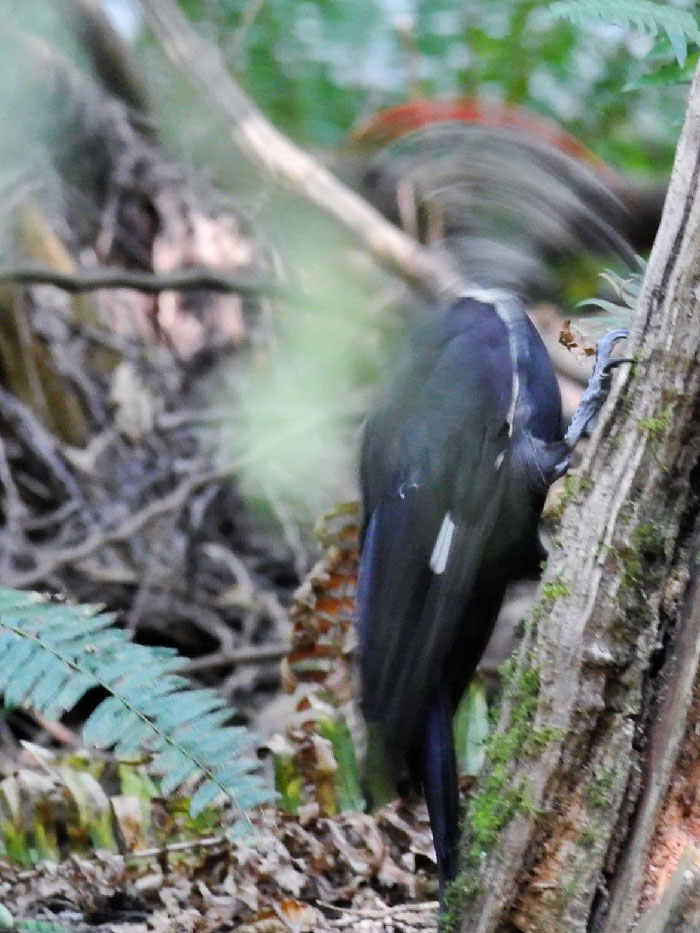 image-20240212171014-12