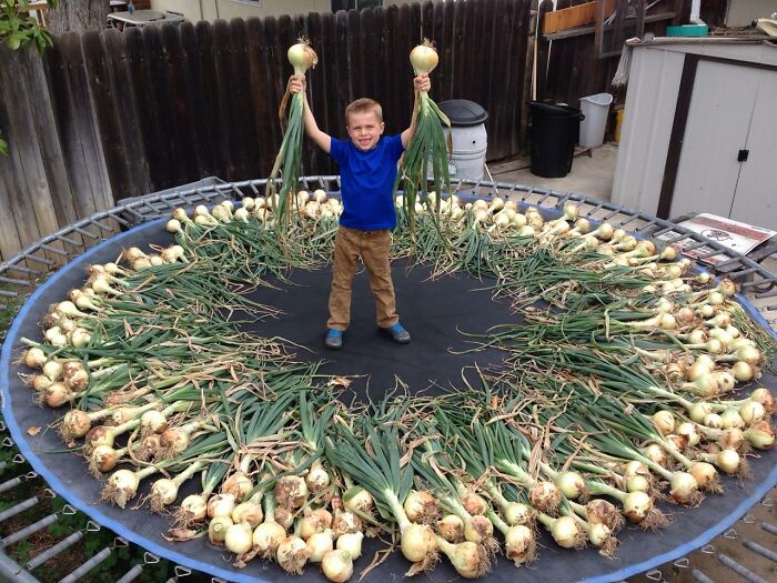 image-20240214104211-7