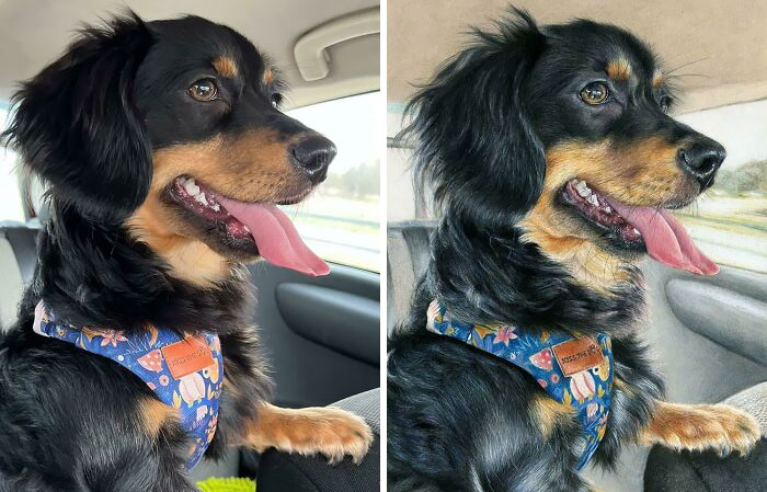 image-20240214123306-1