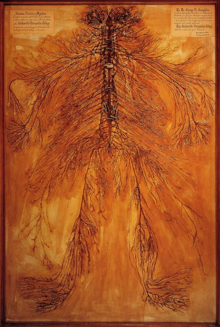 image-20240214141227-1