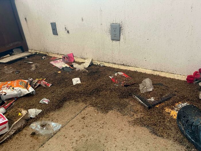 image-20240214141332-13