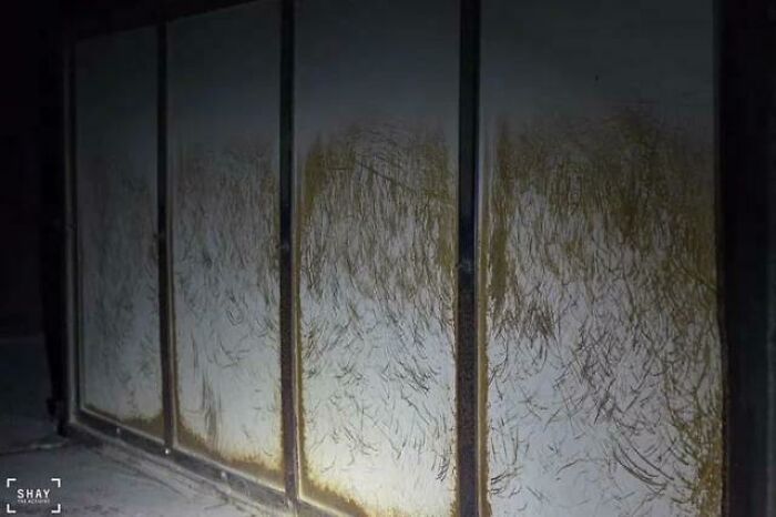 image-20240214141335-14