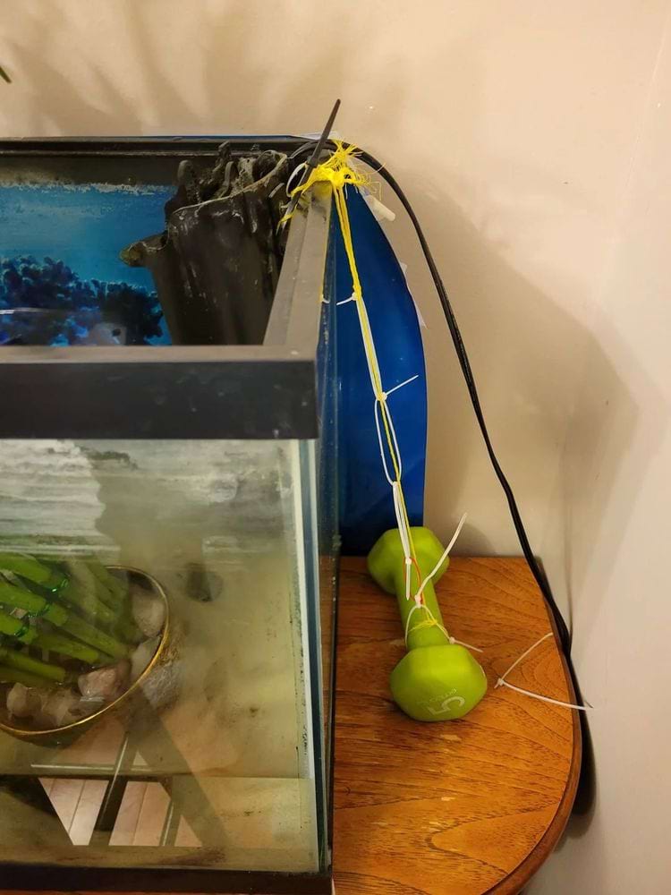 image-20240215143249-9