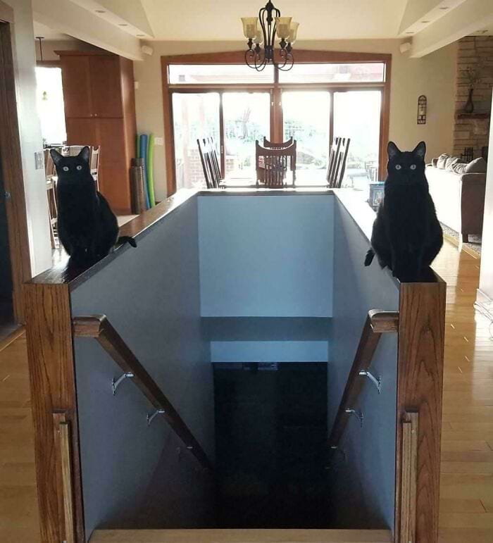 image-20240215163338-1