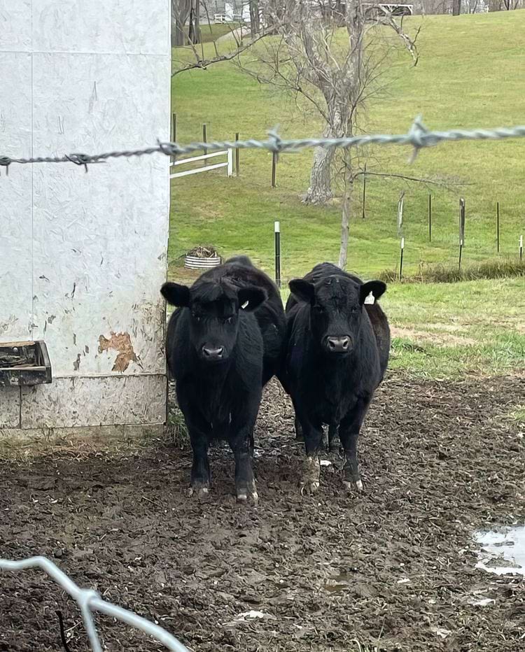 image-20240215163427-16