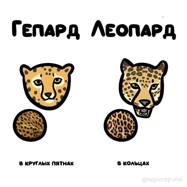 image-20240216111610-1