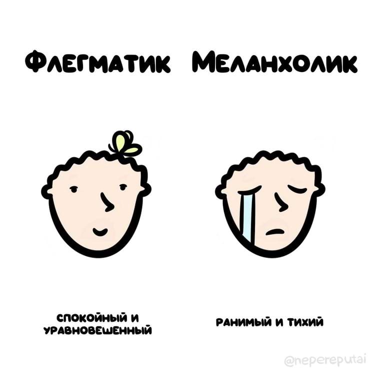 image-20240216111707-7