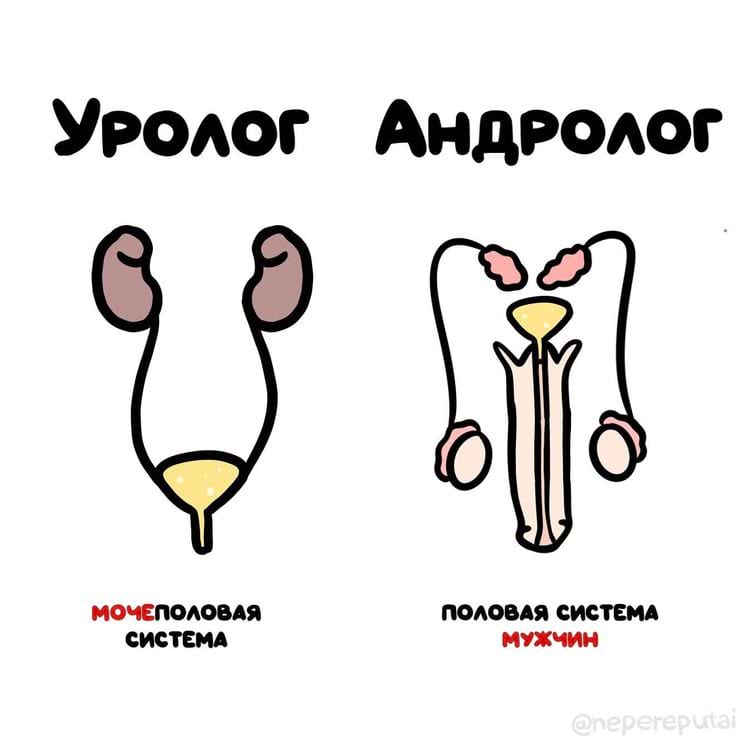 image-20240216111728-12