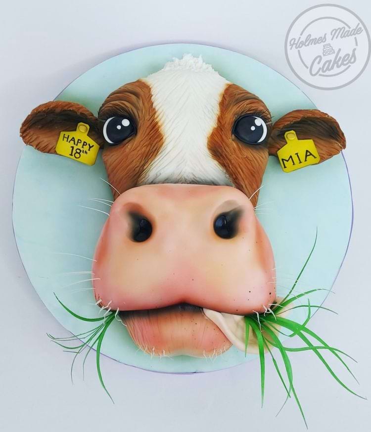 image-20240219112952-5