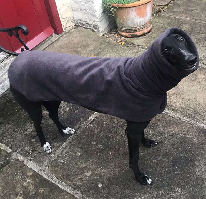 image-20240219122517-1