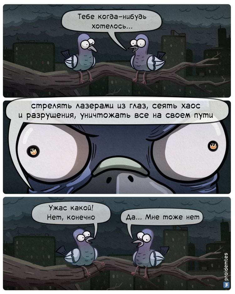 image-20240220110752-3