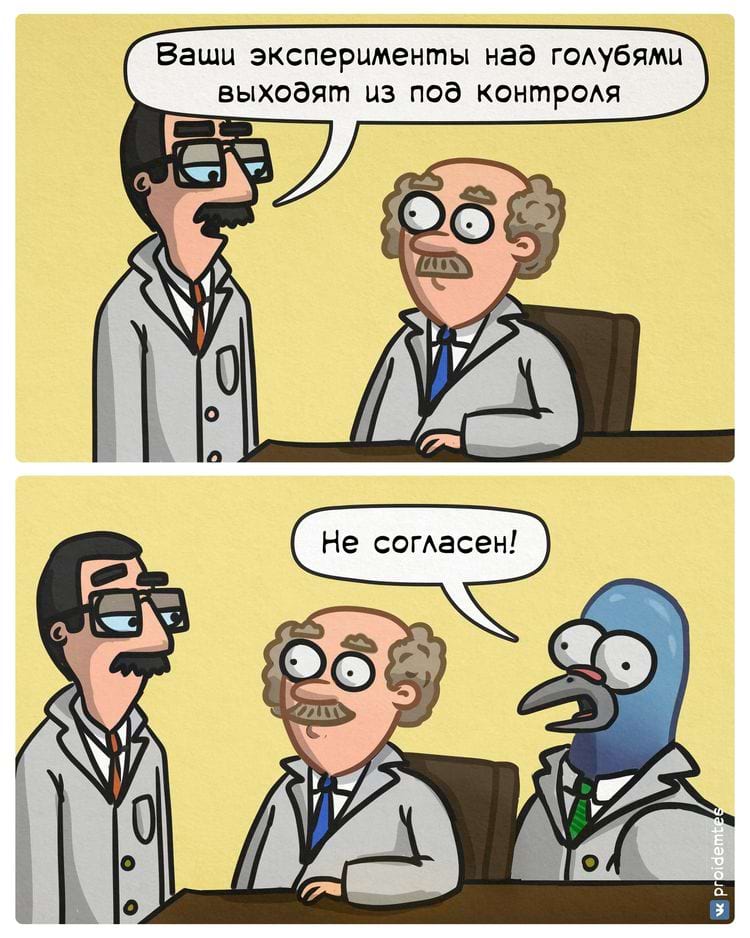 image-20240220110826-11