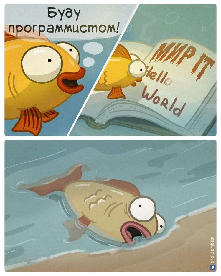 image-20240220110833-13