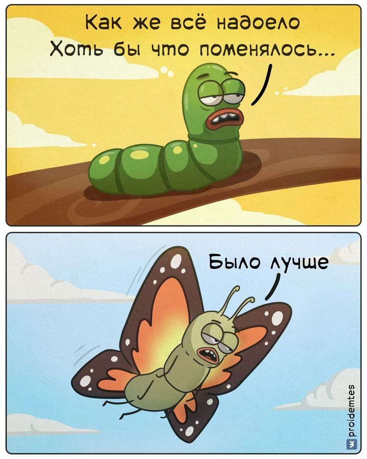 image-20240220110849-18