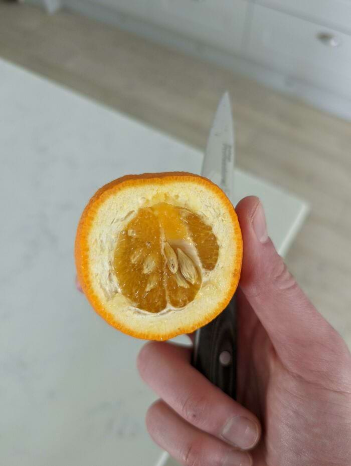 image-20240220120431-2