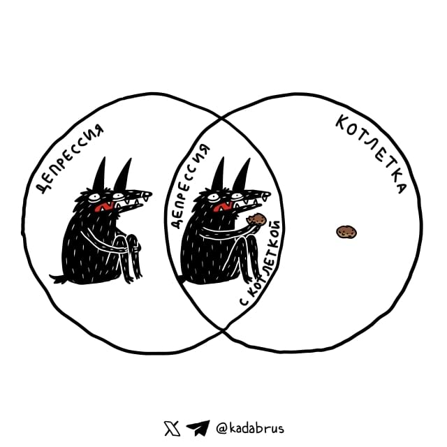 image-20240221105202-7