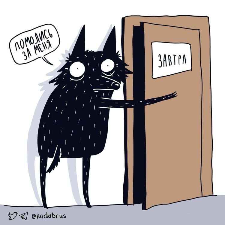 image-20240221105254-18