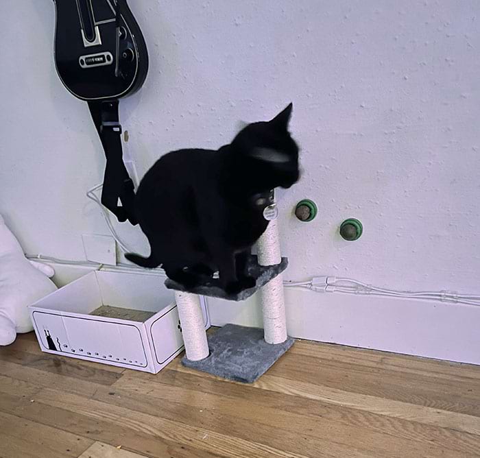 image-20240221130050-1