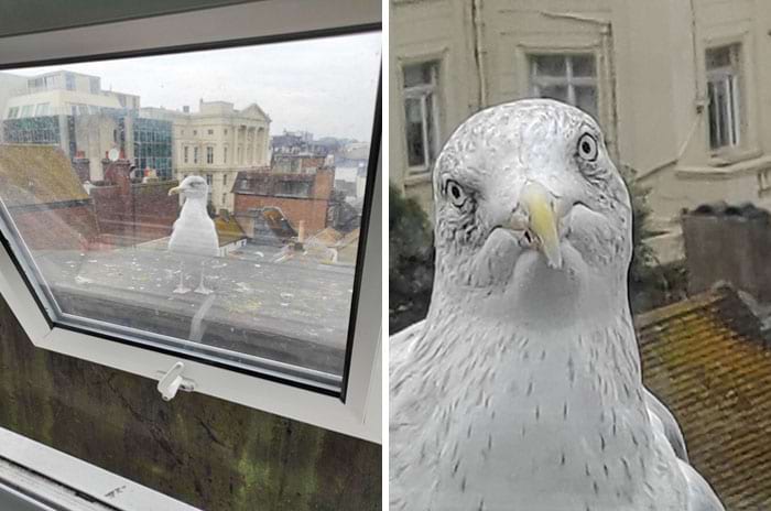 image-20240221130124-7