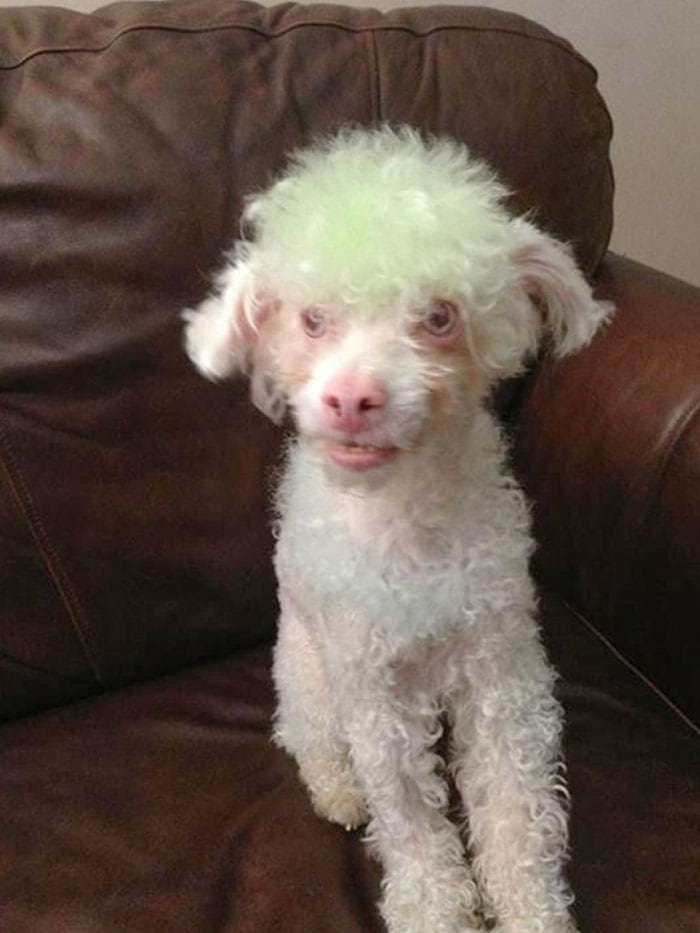 image-20240221130133-9