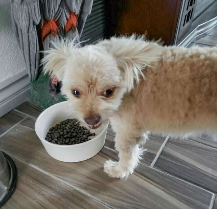 image-20240221130324-17