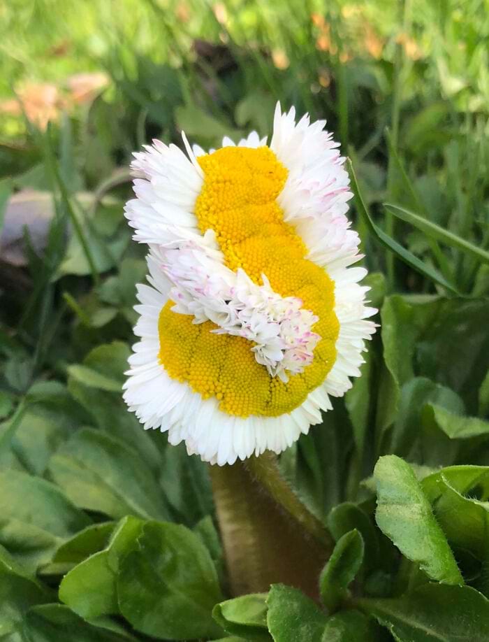 image-20240227134923-4