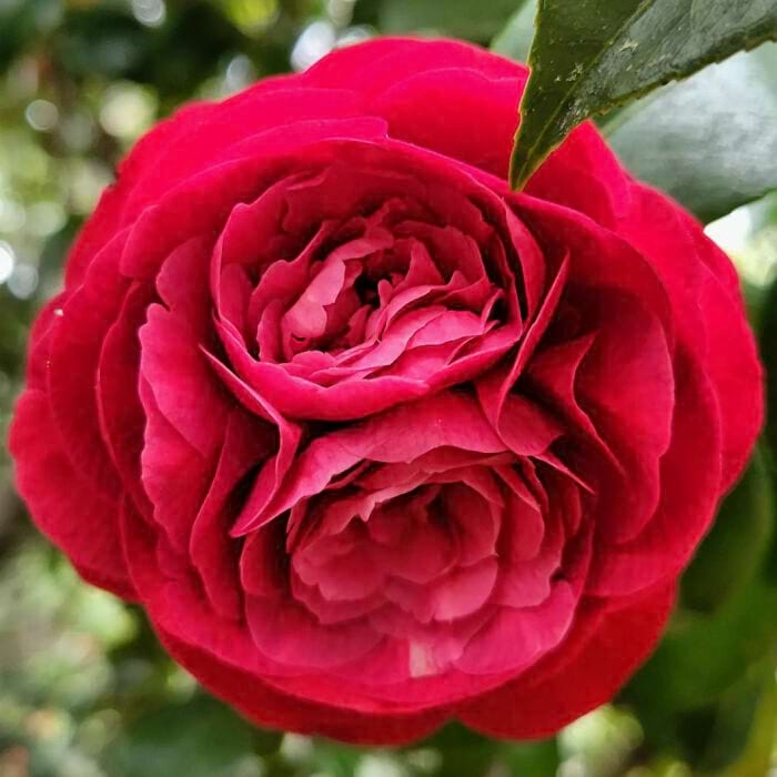 image-20240227134937-7