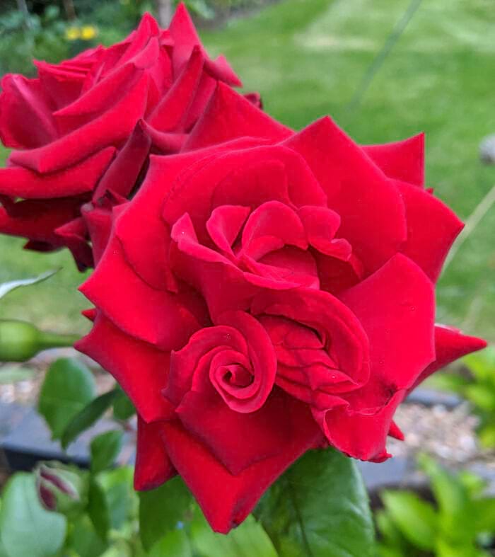 image-20240227134954-11